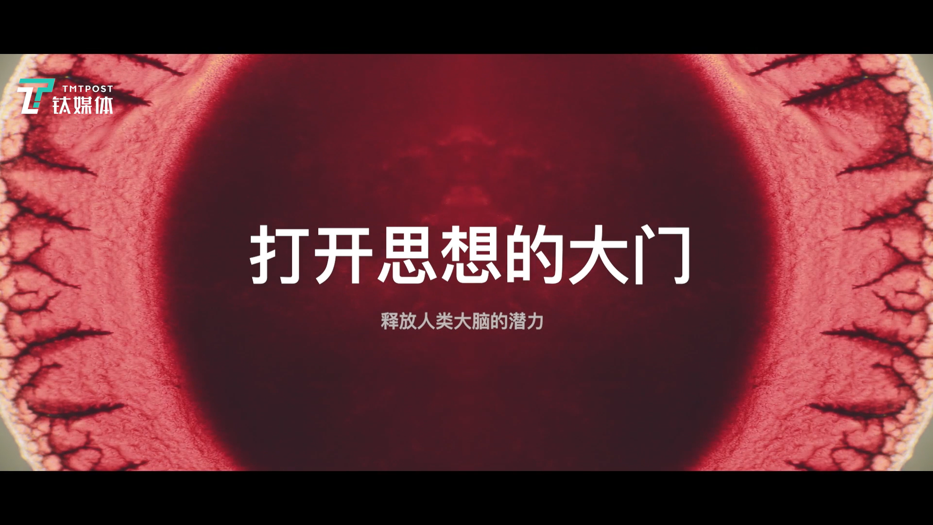 震撼，陈天桥亲自打造了一部纪录片揭秘大脑