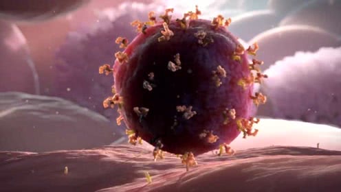 【视频】3分钟动画告诉你病毒是如何入侵人体的