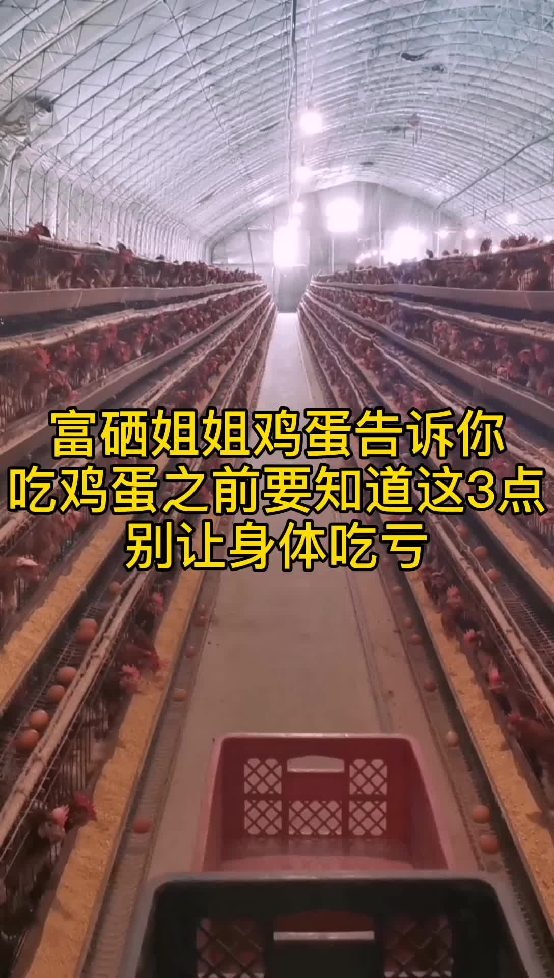 吃鸡蛋前要知道的三件事