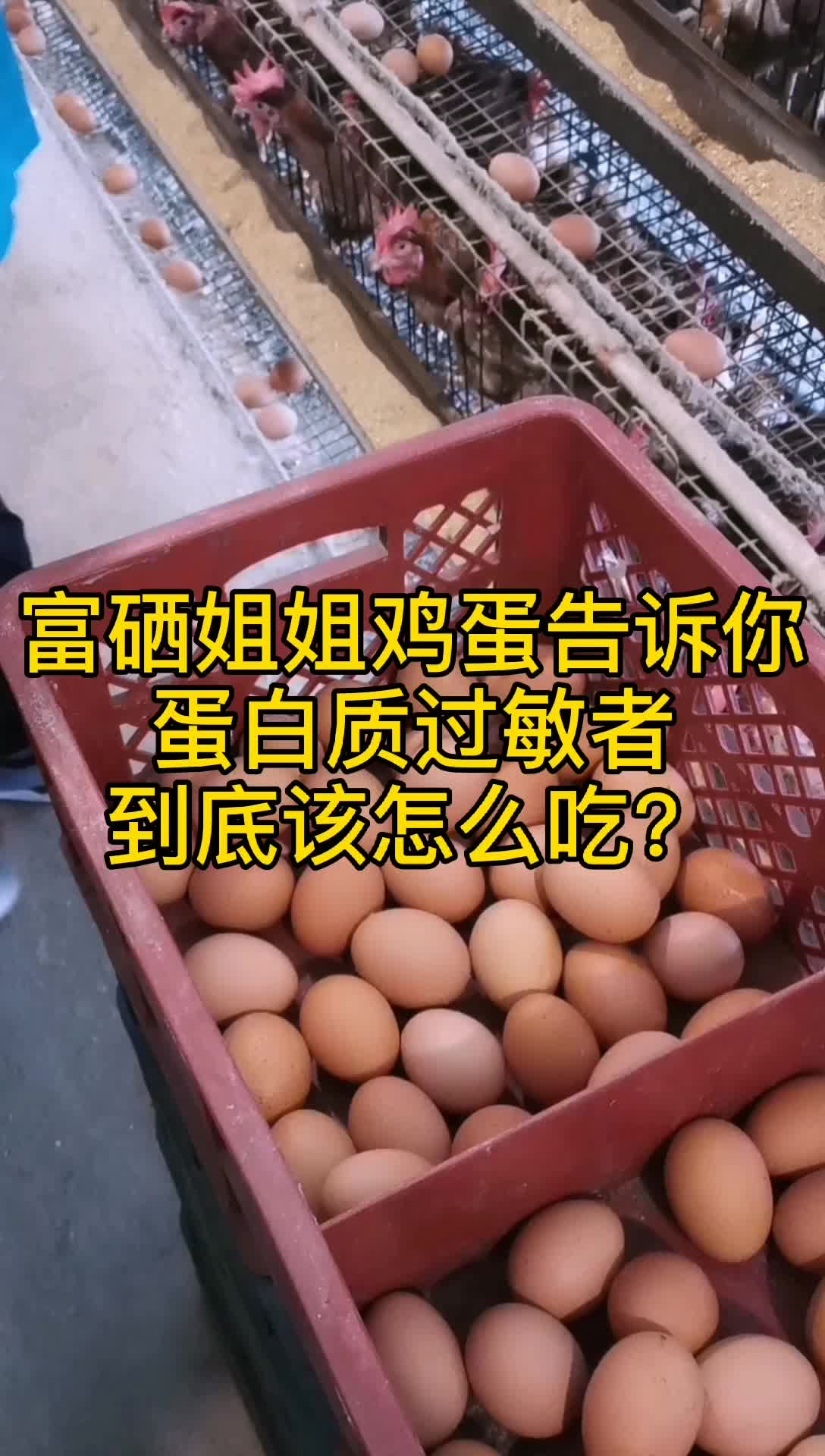 蛋白质过敏，该怎么吃？