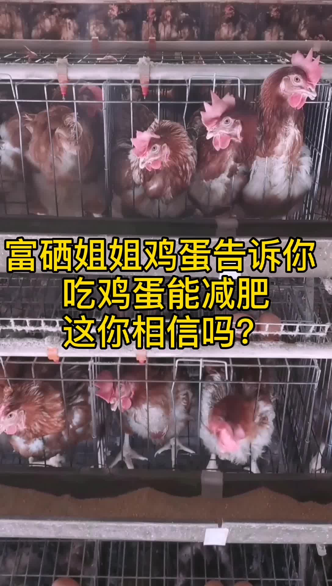 吃鸡蛋减肥你信吗？