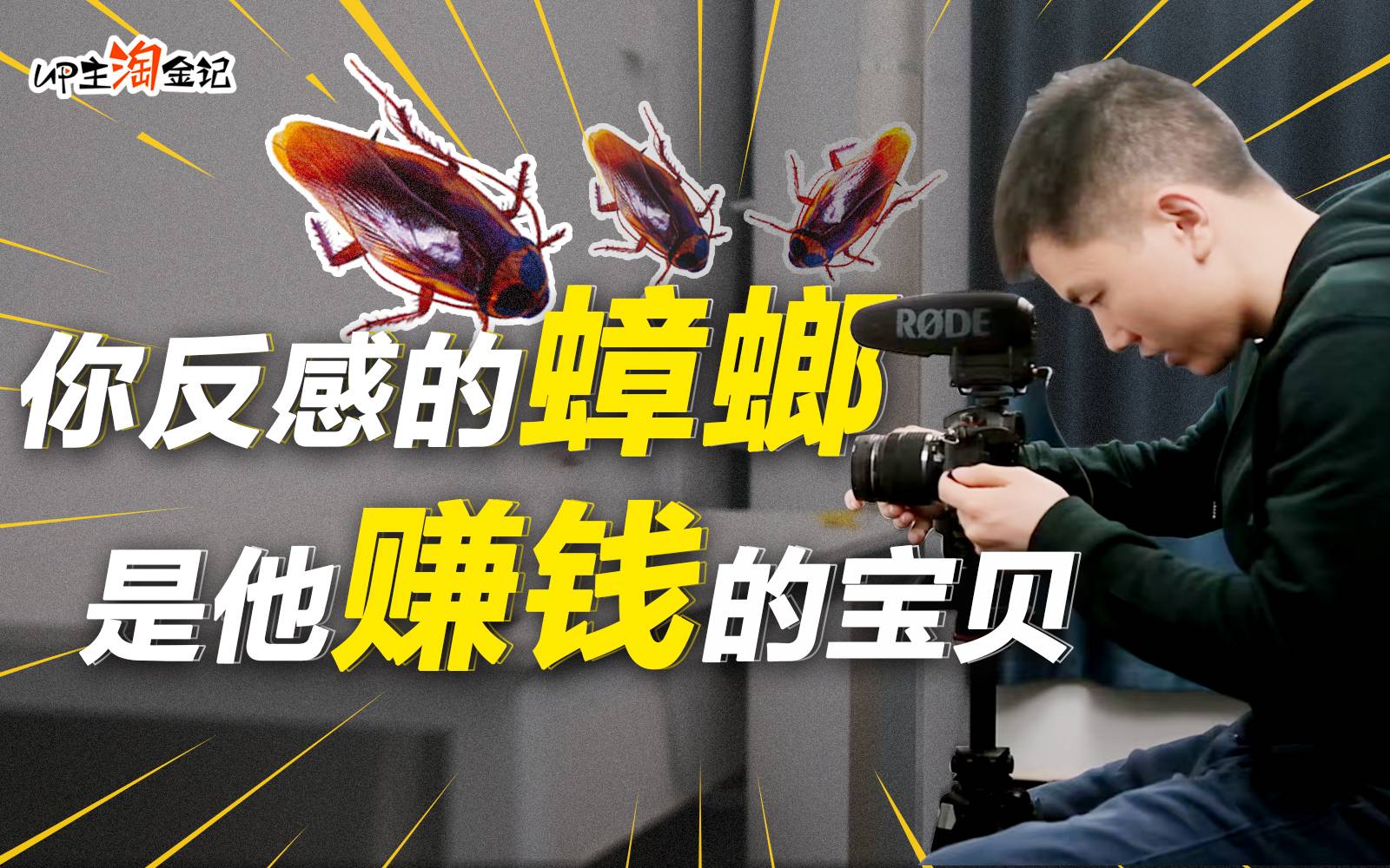 脑洞大开！湖北小伙拍蟑螂视频，竟能年入数百万