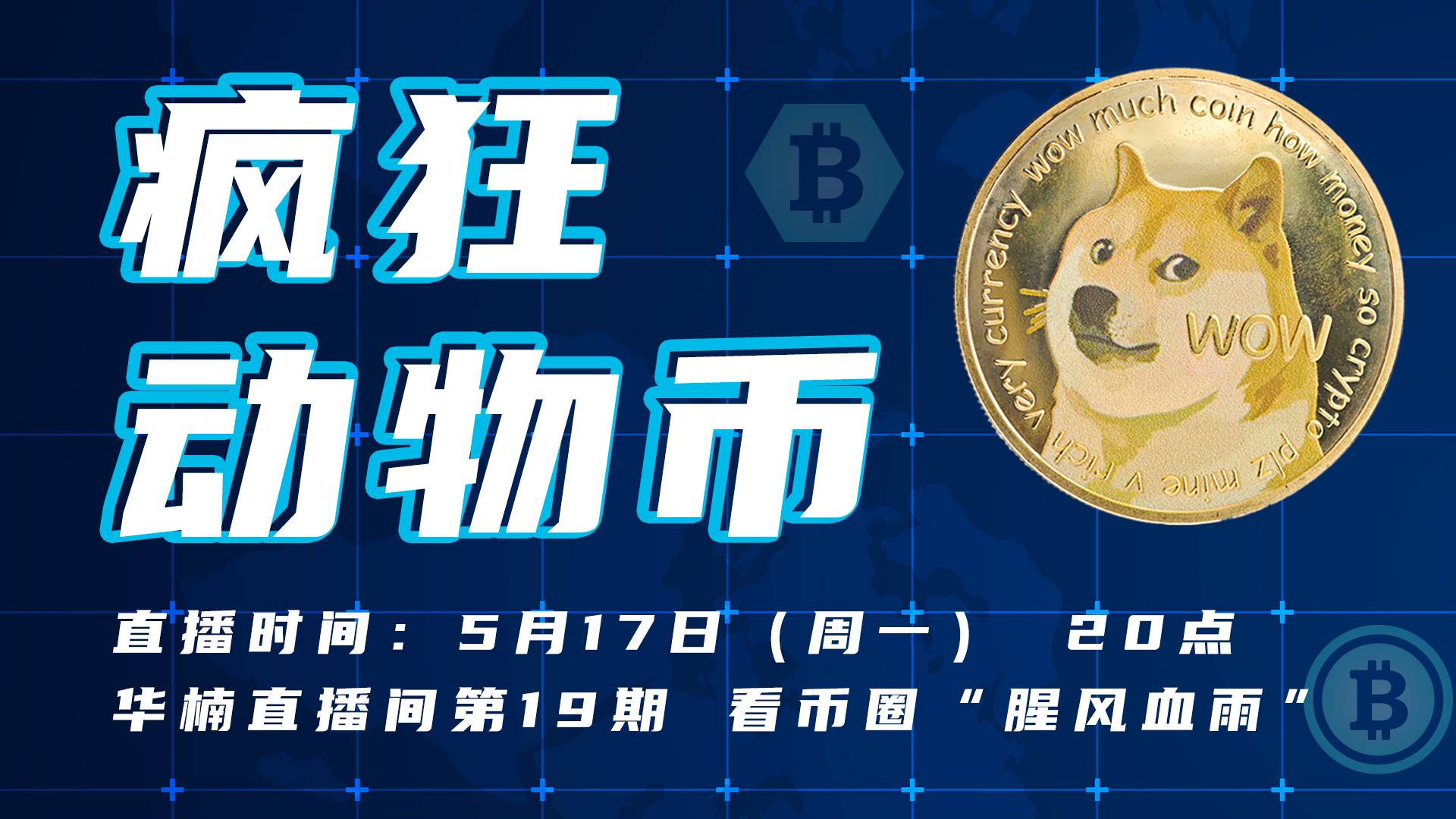 【直播回放】疯狂“动物币”