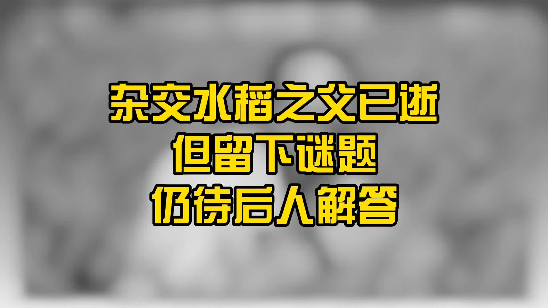 杂交水稻之父已逝，但无数杂交水稻仍傲立世间