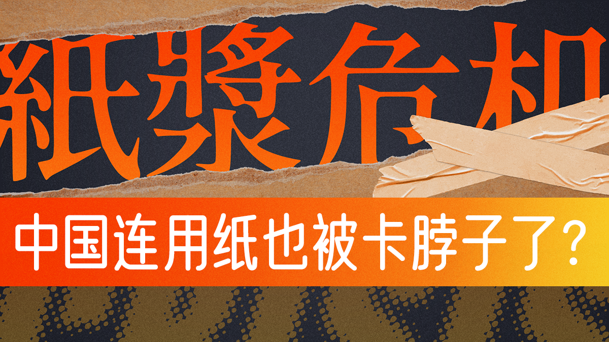 原料涨价70%、用纸被卡脖子？揭秘卫生纸涨价的幕后推手
