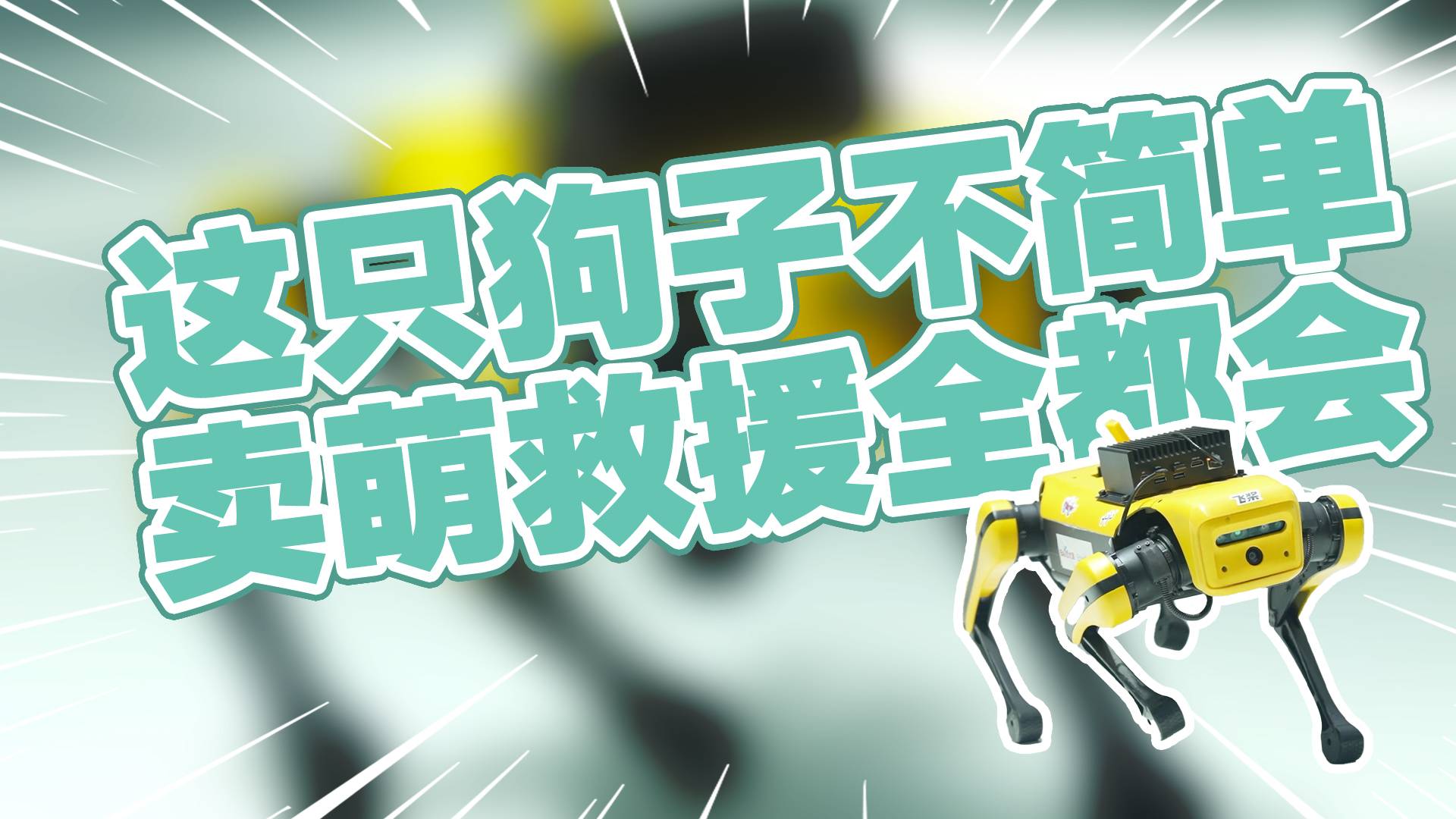 这只狗子不简单，卖萌、救援它全都会！