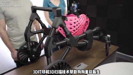 超有爱的3D打印定制轮椅帮运动障碍狗狗重获新生