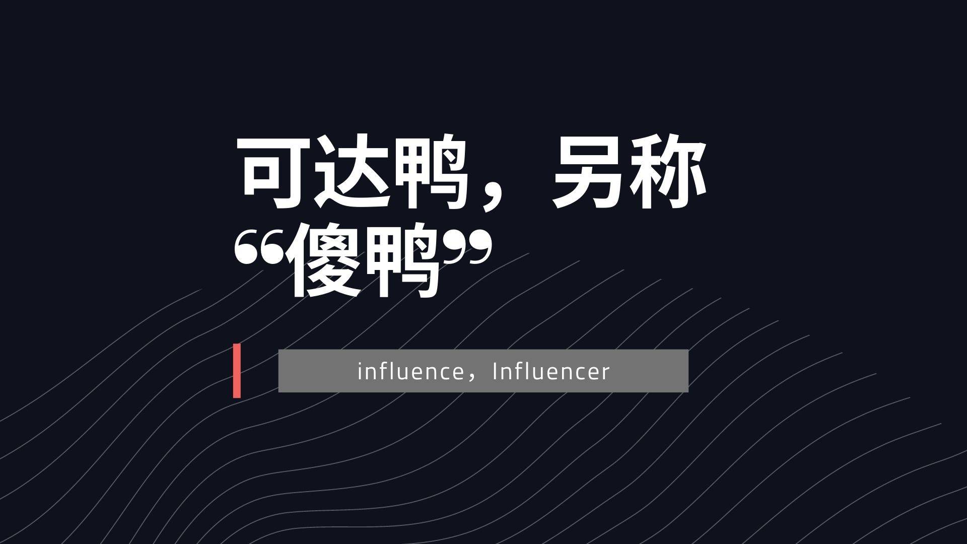 可达鸭，另称“傻鸭”