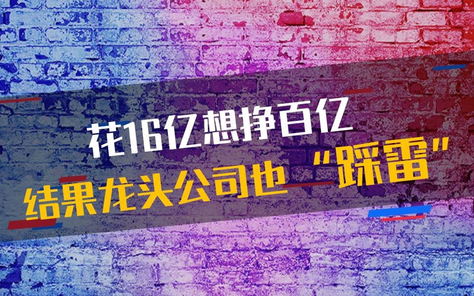 花16亿想挣百亿，结果龙头公司也踩雷！