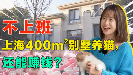 女生租400平上海独栋别墅养猫，揭秘萌宠博主赚钱容易吗？