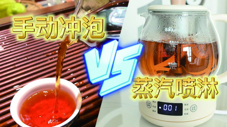 煮茶器PK手动泡茶 实测哪个茶香更浓？