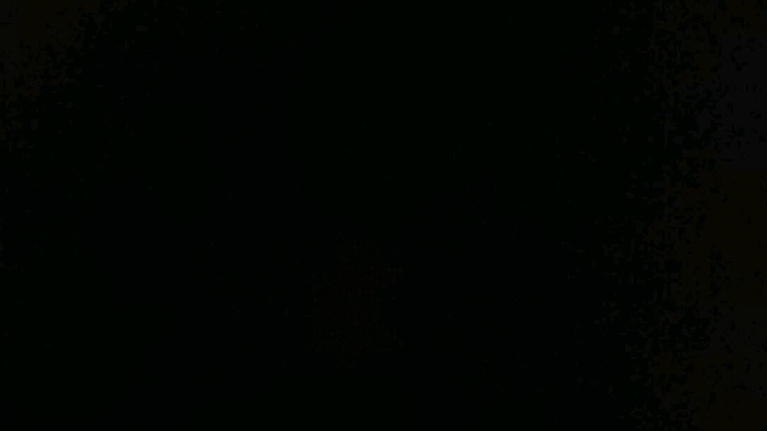 5181729388