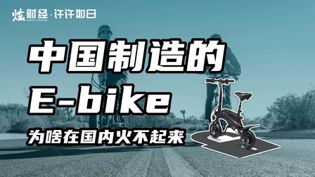 中国制造的E-bike火遍全球，但为何国内没热起来？