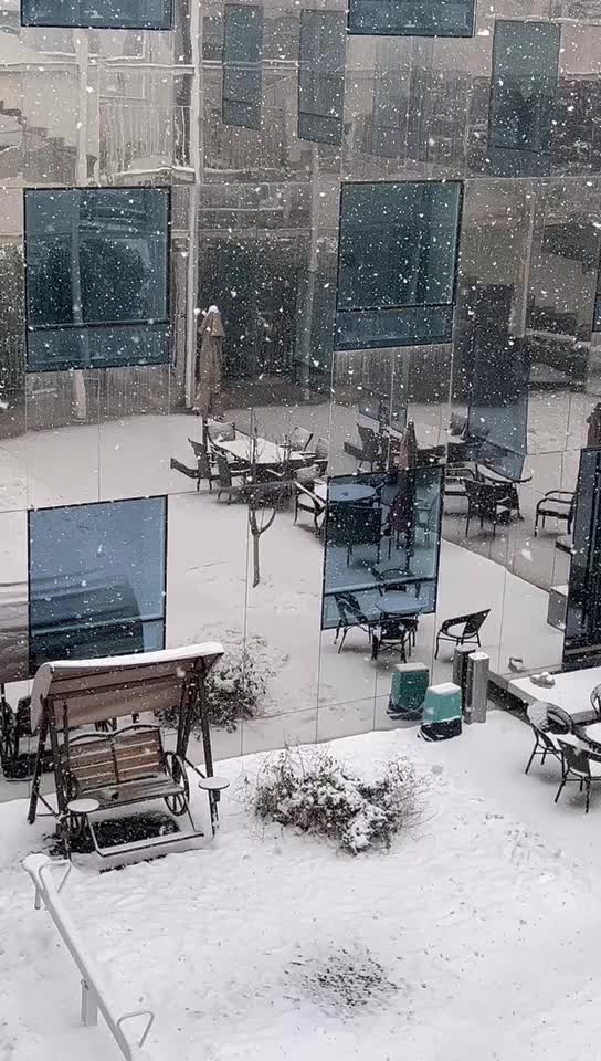 下雪了，好美