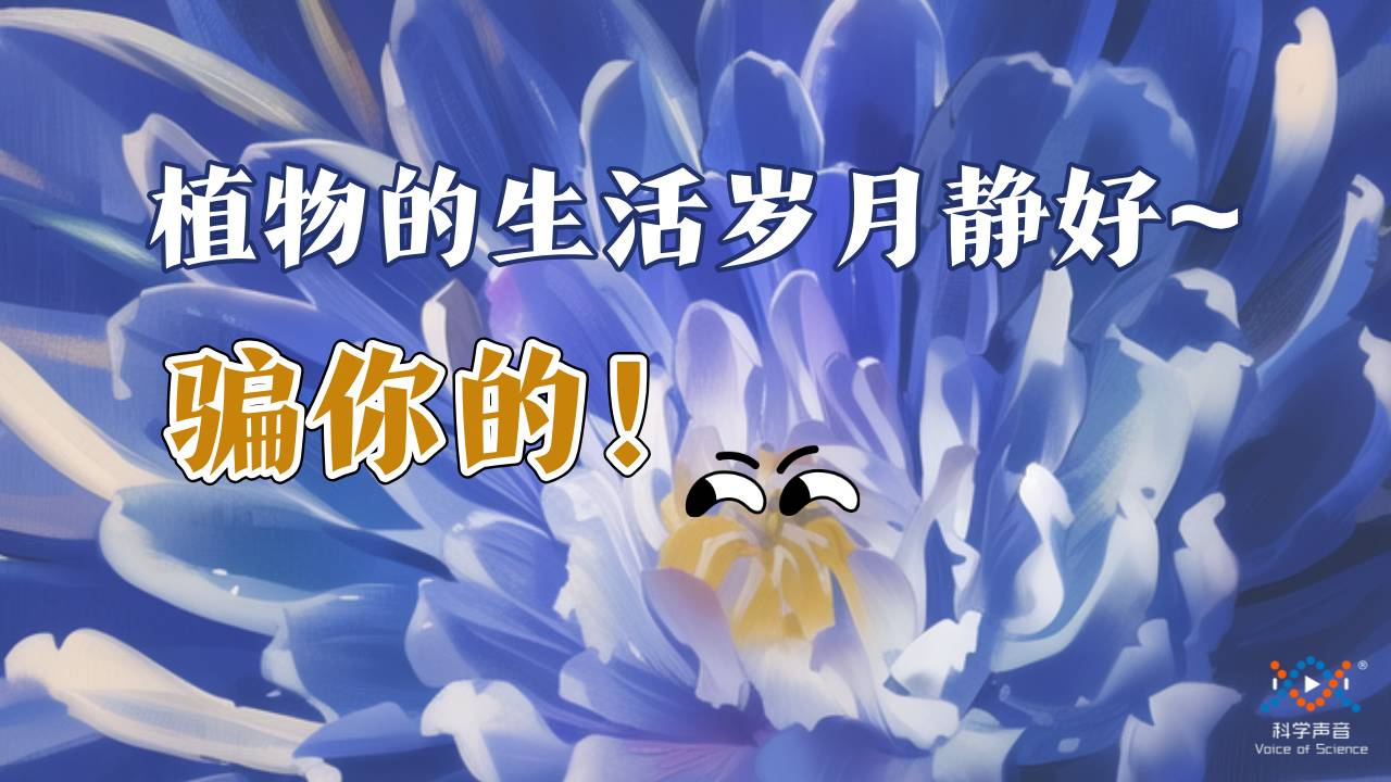 植物也疯狂！它们居然有这些不可思议的生存大招？