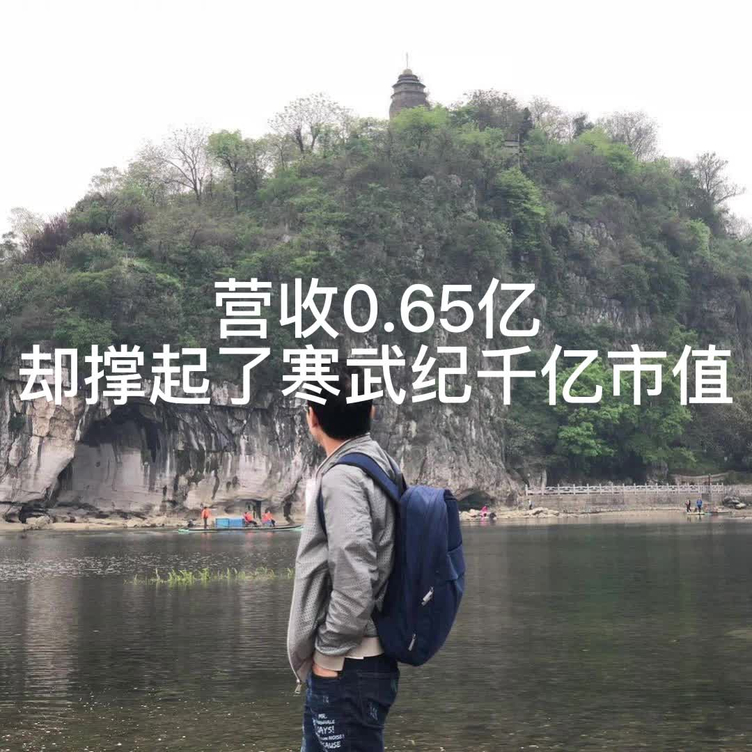 上半年营收0.65亿，却撑起了寒武纪千亿市值