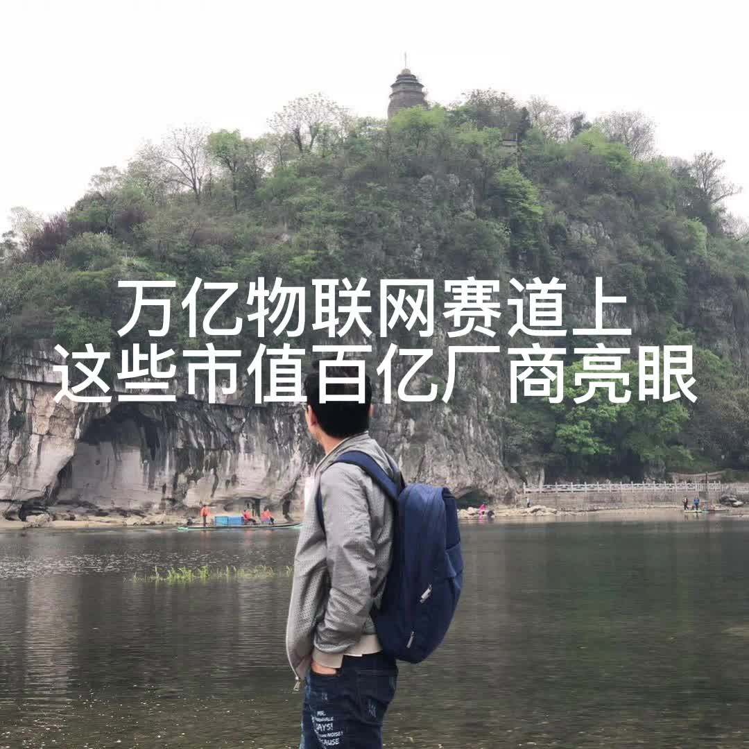 万亿物联网赛道上，这些市值百亿的物联网企业表现亮眼