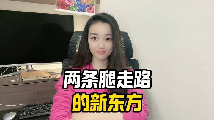 两条腿走路的新东方