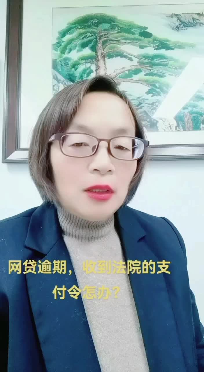 网贷逾期，收到法院的支付令咋办？