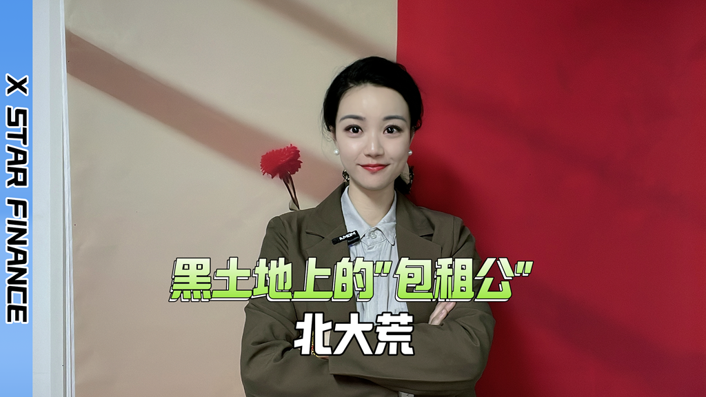 北大荒2024年报：黑土地上的“包租公”