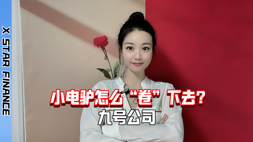 九号公司2024年报：小电驴要怎么卷下去？