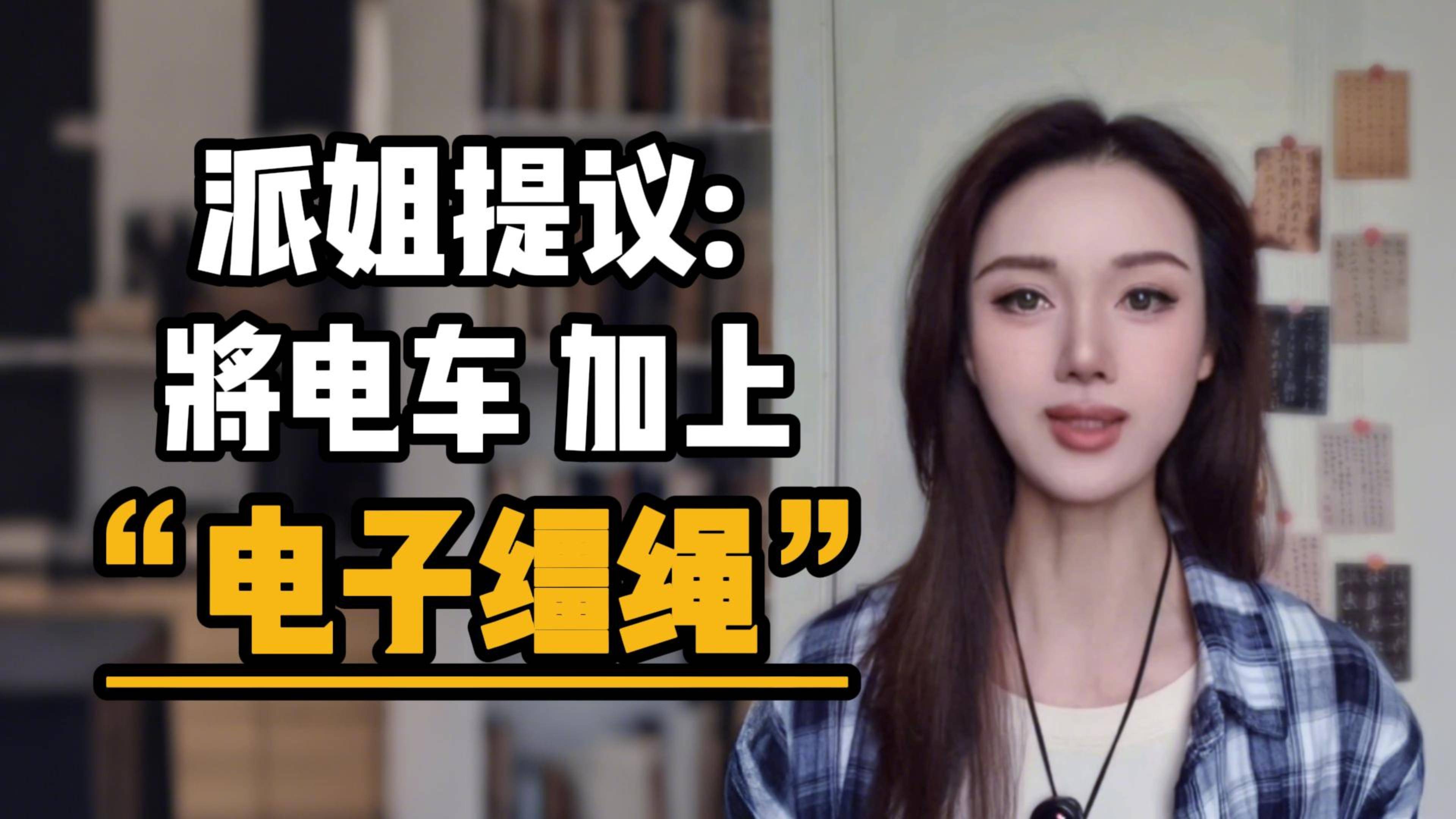 派姐提议：将电车加上"电子缰绳"