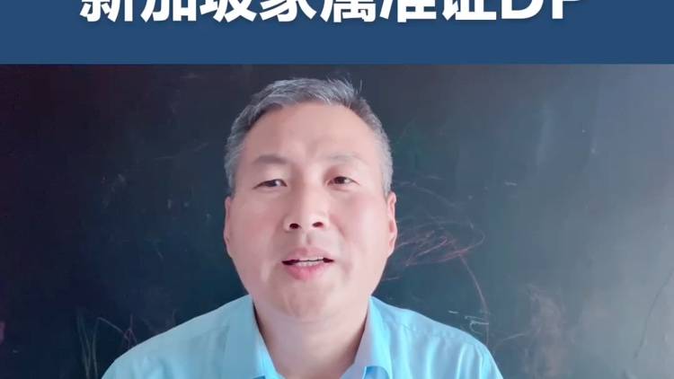 新加坡家属准证DP是什么