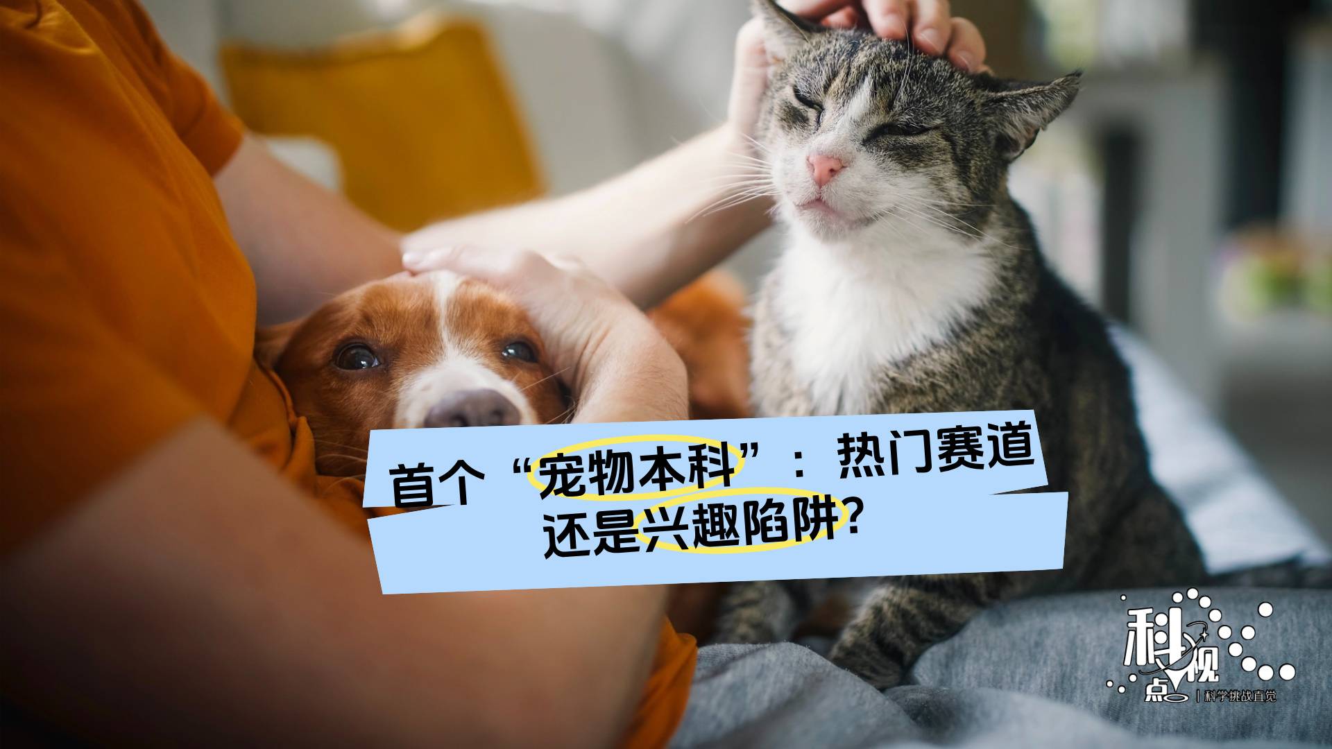 首个“宠物本科”：热门赛道还是兴趣陷阱？