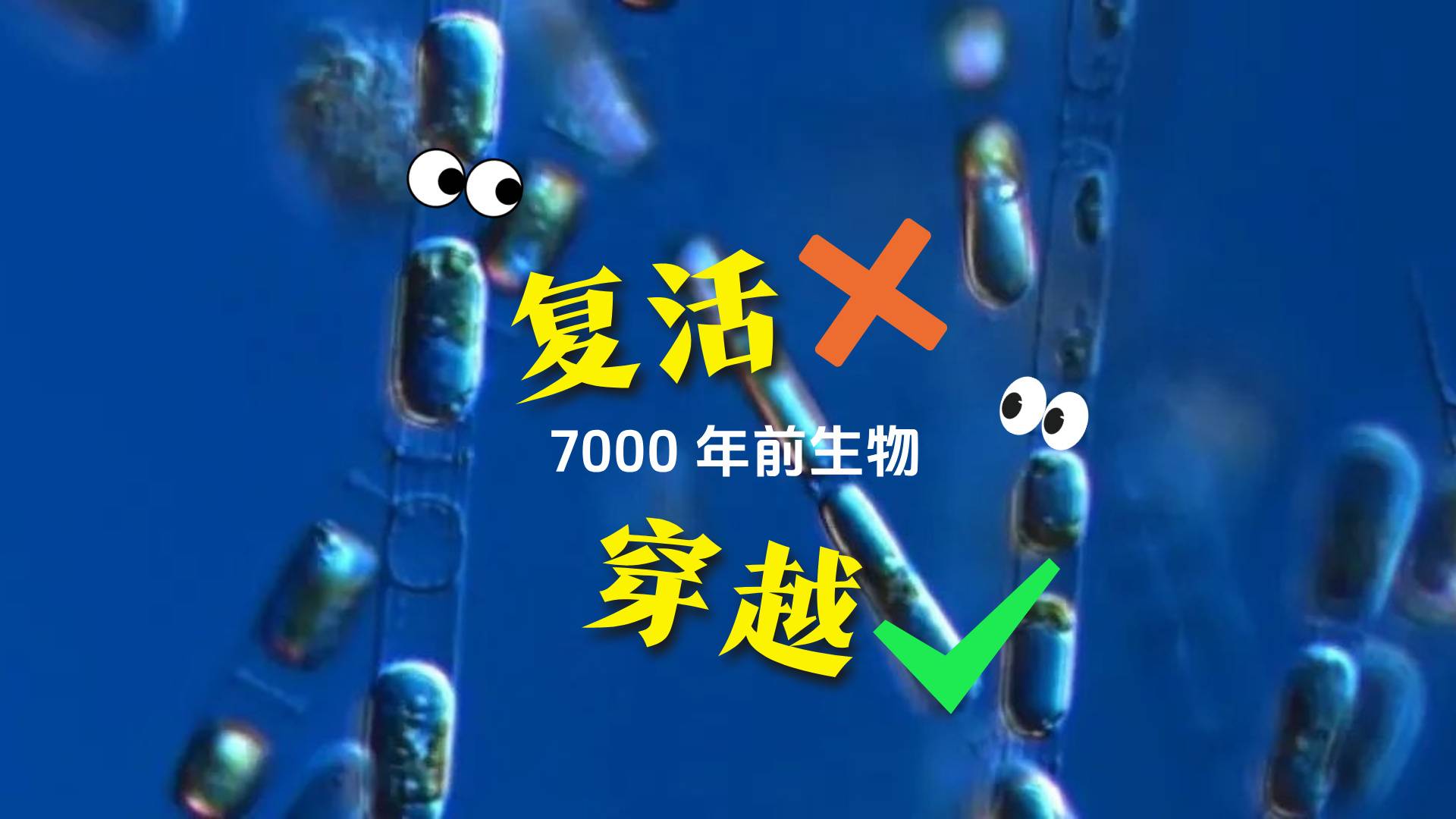 生命穿越时间，7000年前的微藻被复活！
