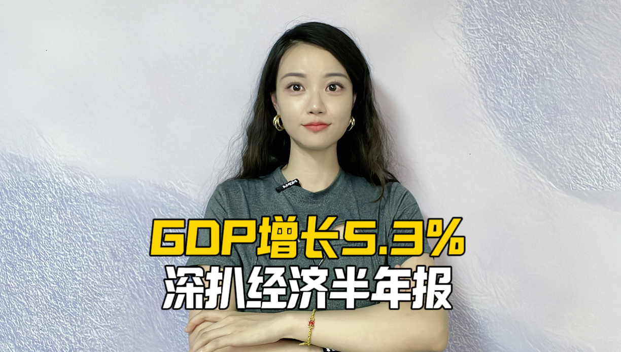 GDP增长5.3%：深扒经济半年报