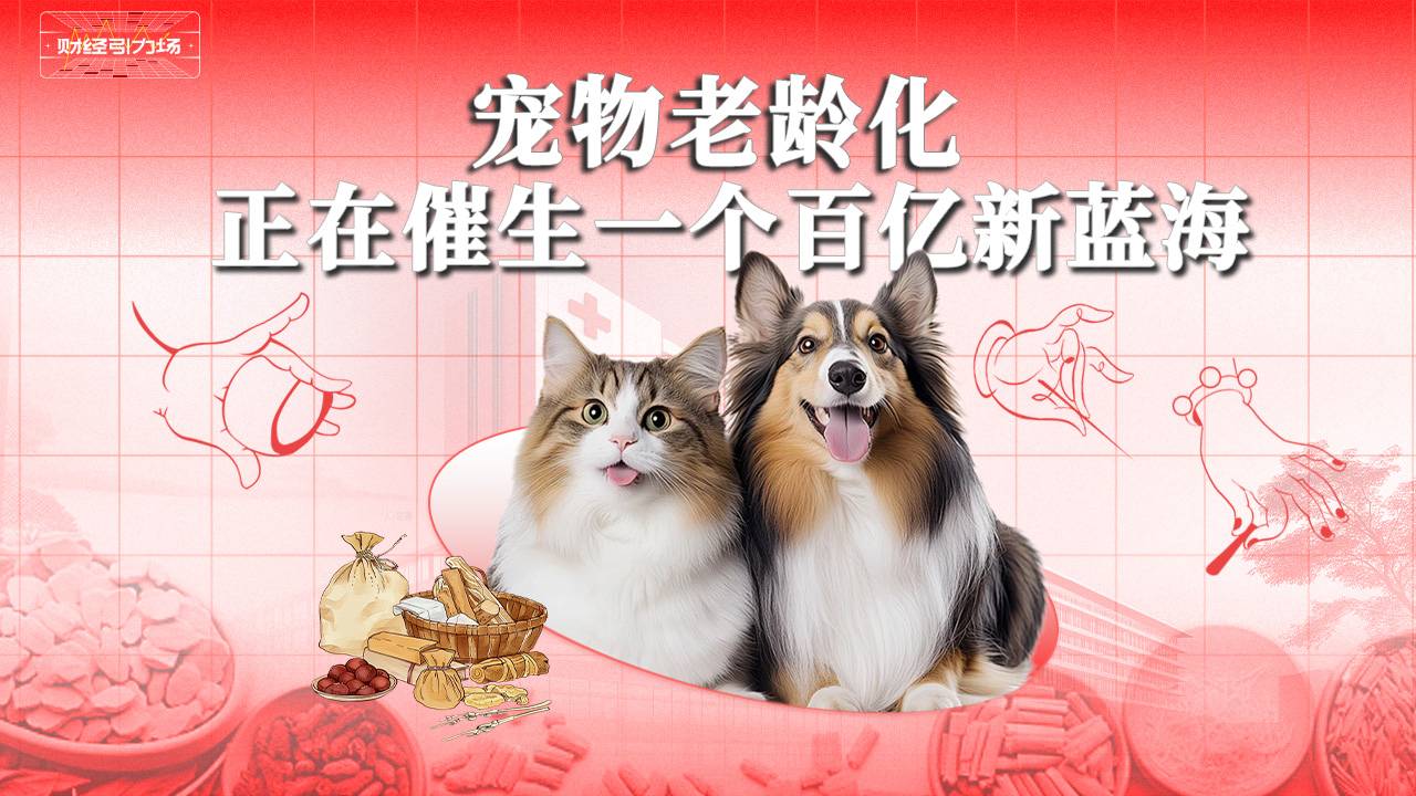 宠物老龄化，正在催生一个百亿新蓝海