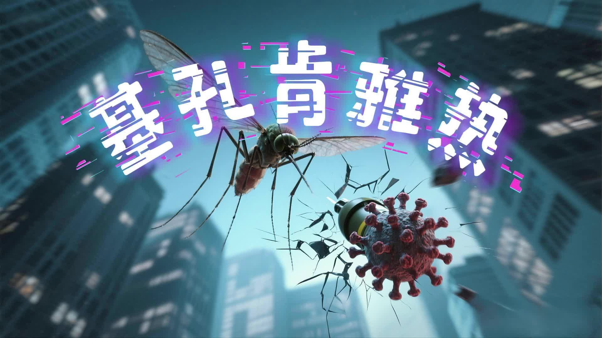 基孔肯雅热，登革热升级版，传播快3倍，关节钻心疼