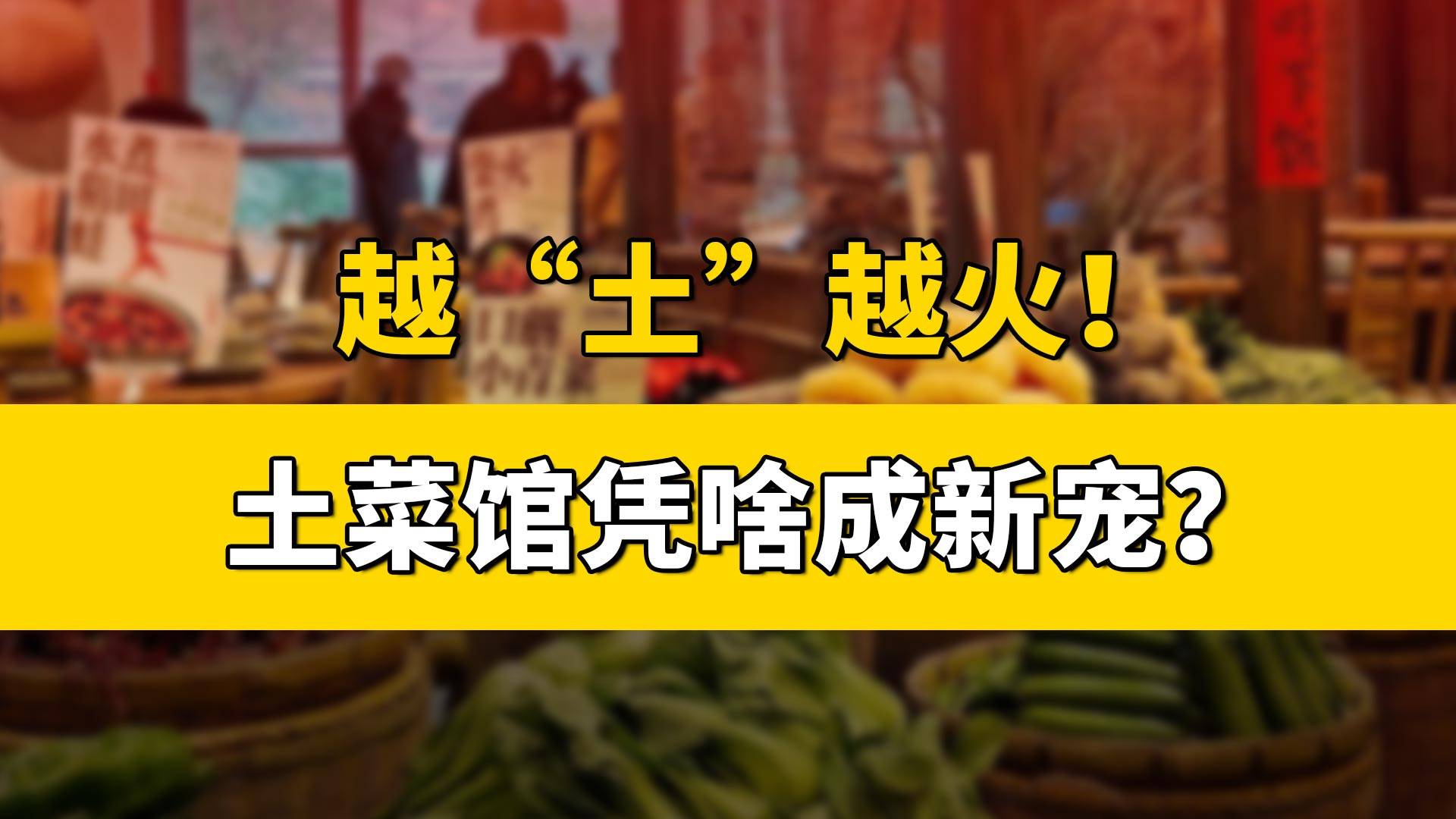 越“土”越火！土菜馆凭啥成新宠？