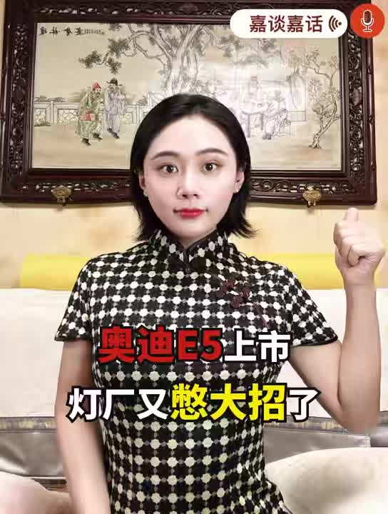 奧迪E5上市，燈廠又憋大招了
