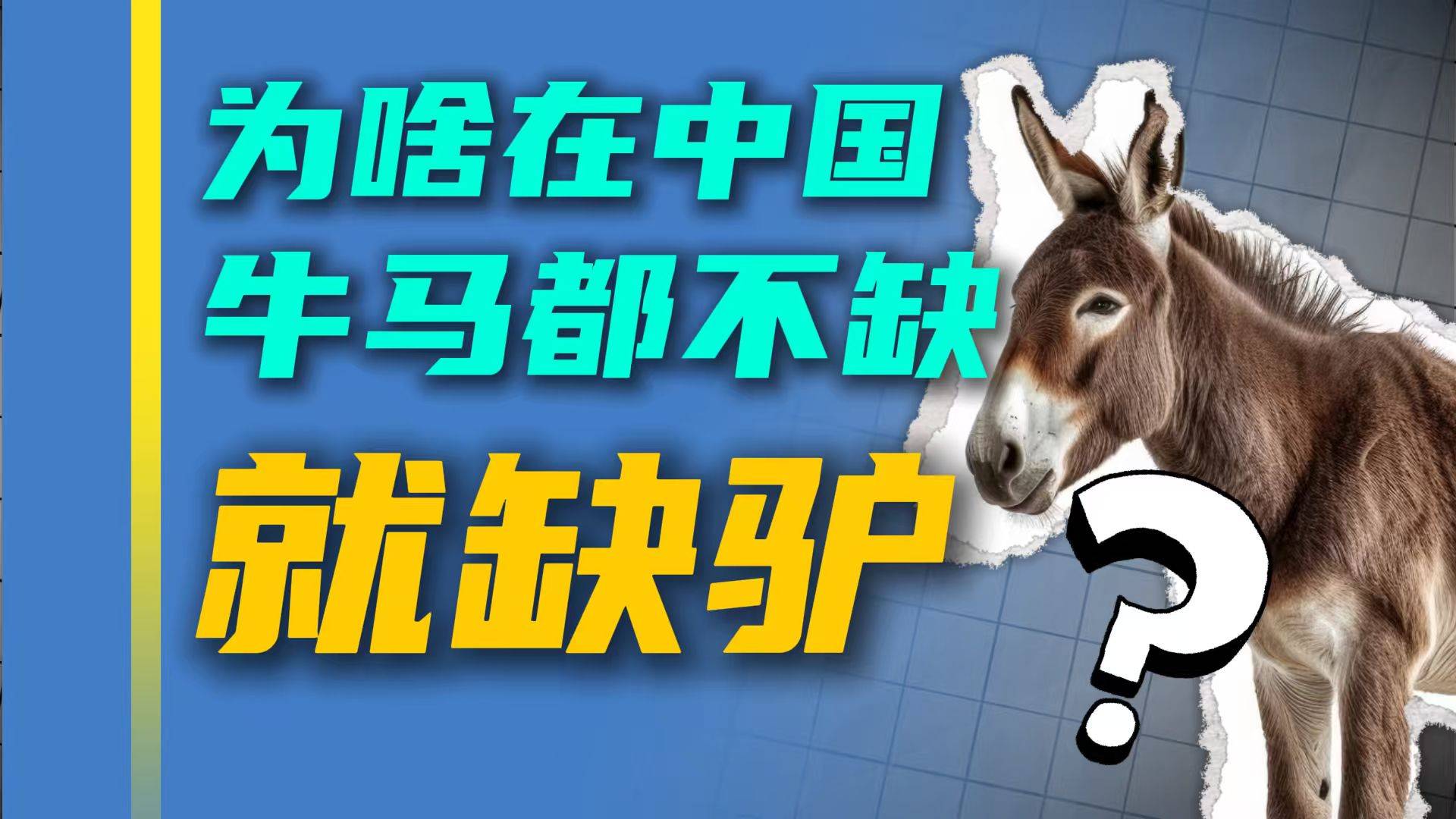 牛馬都不缺就缺驢！中國企業(yè)為何滿世界找驢？
