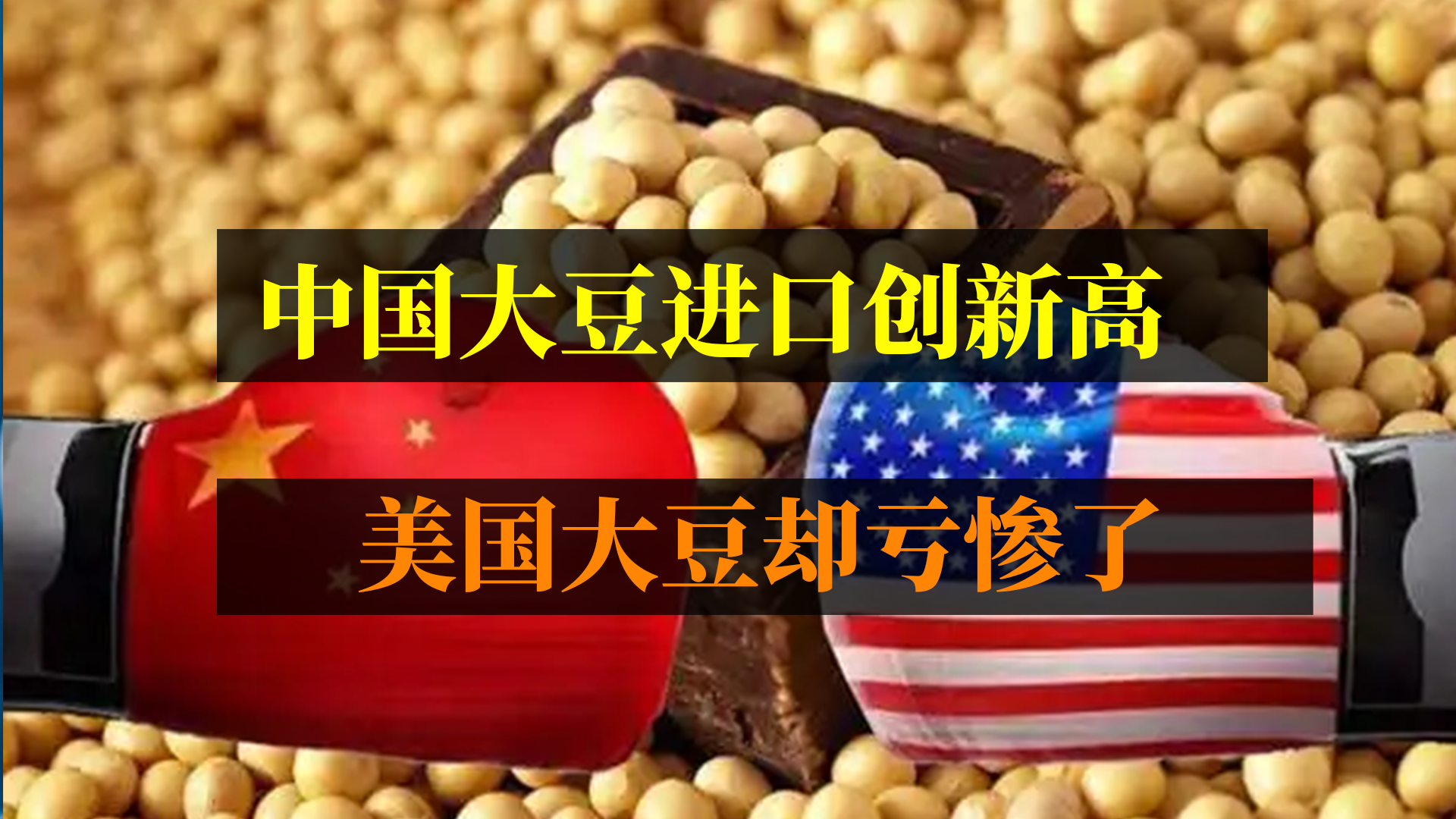 中国大豆进口创新高，美国却亏惨了