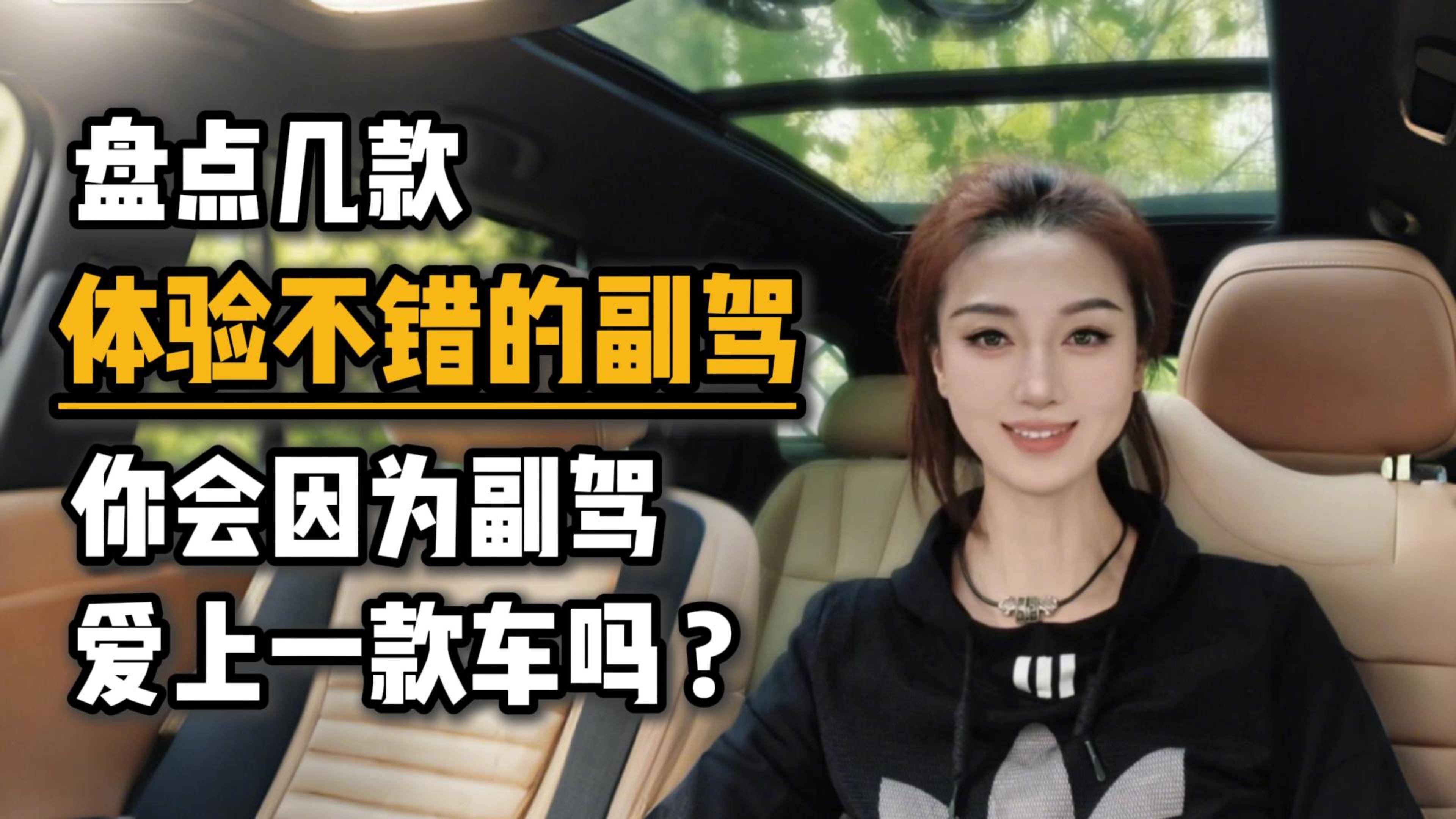 盘点几款体验不错的副驾，你会因为副驾爱上一款车吗？