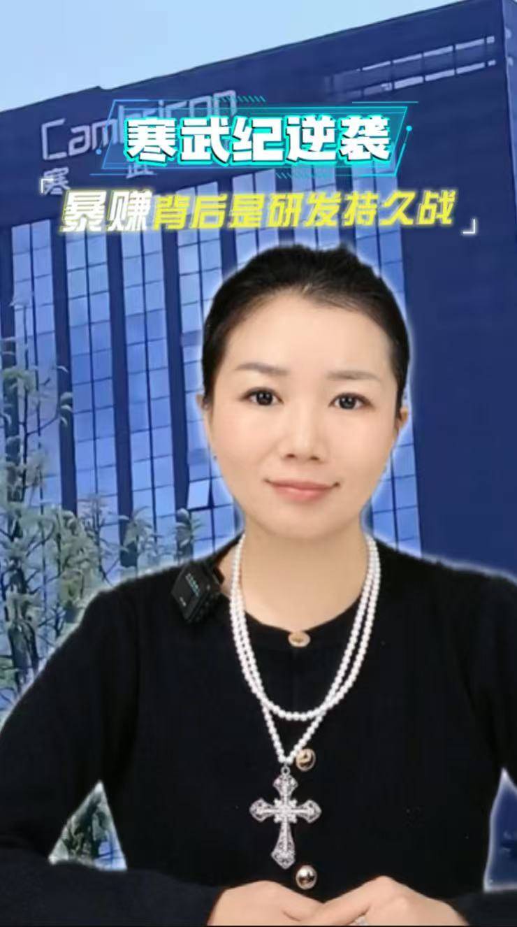 寒武纪逆袭 爆赚背后是研发持久战