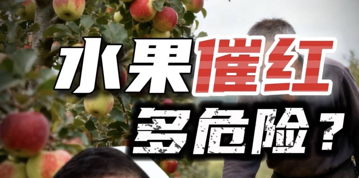 48小时“催红术”，你吃的水果安全吗？