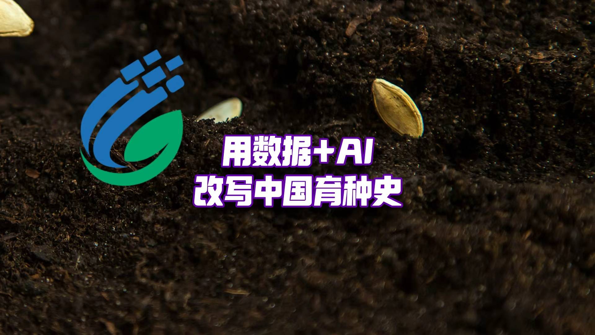 重塑育种流程！种业如何才能用上大模型？