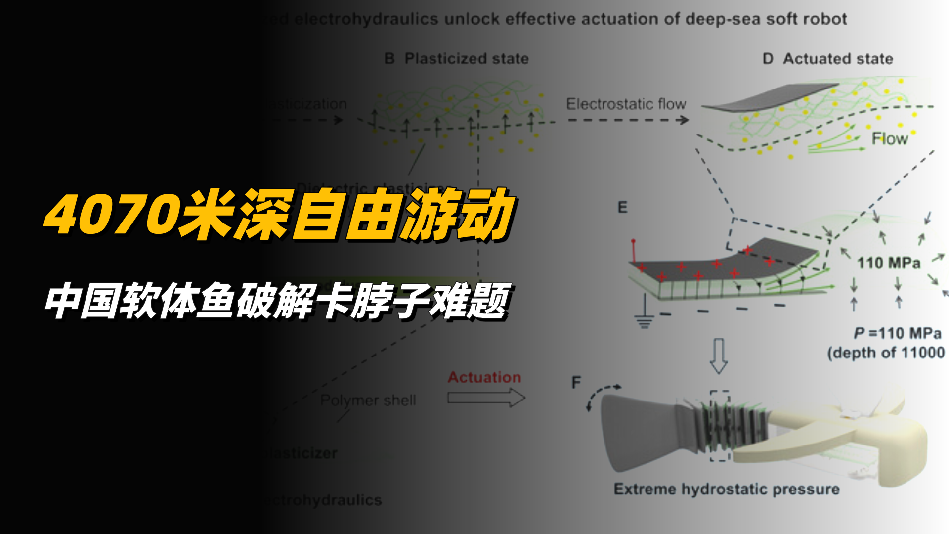 4070米深自由游动，中国软体鱼破解深海探测卡脖子难题！