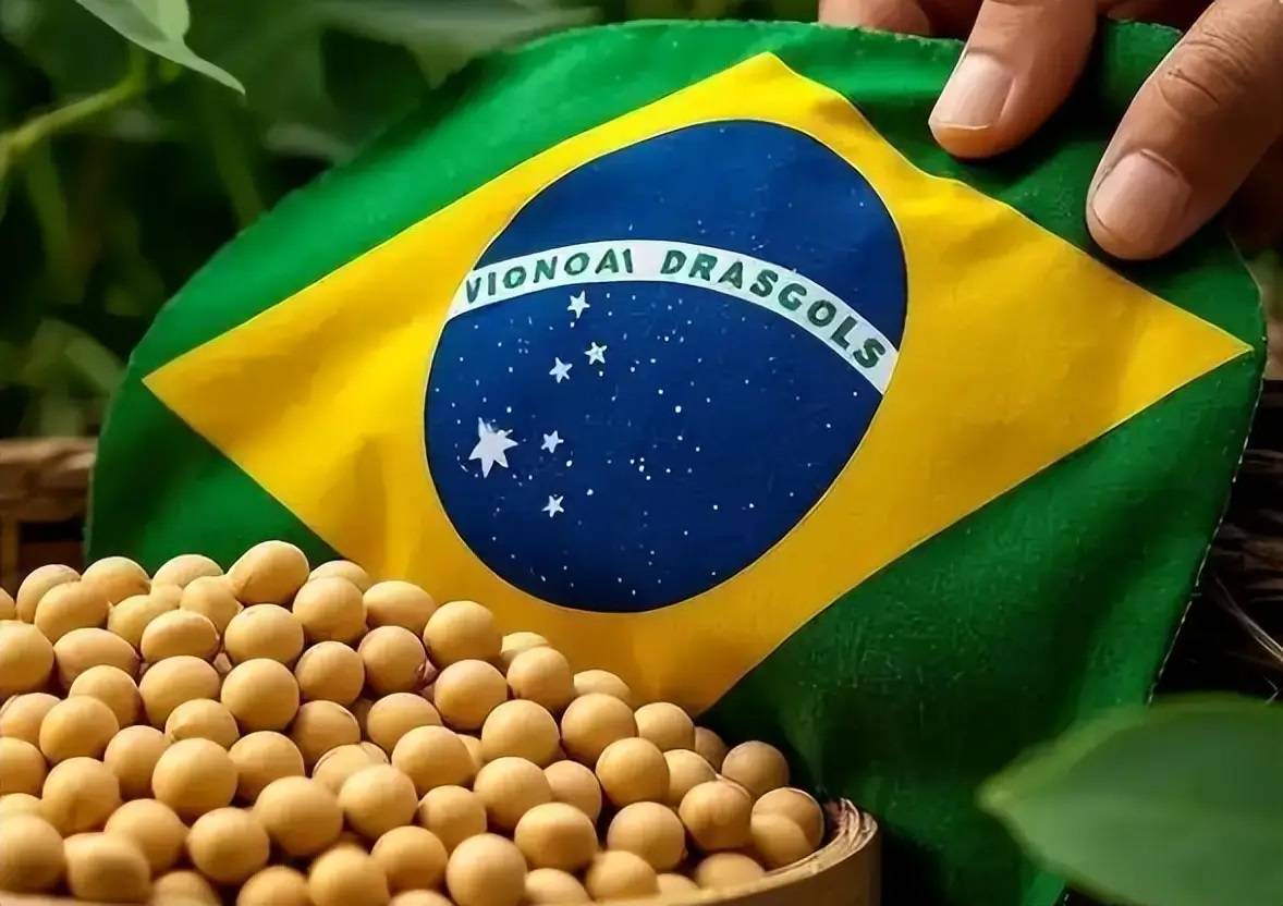 巴西大豆新变，中国暂停5家巴西大豆出口资质！