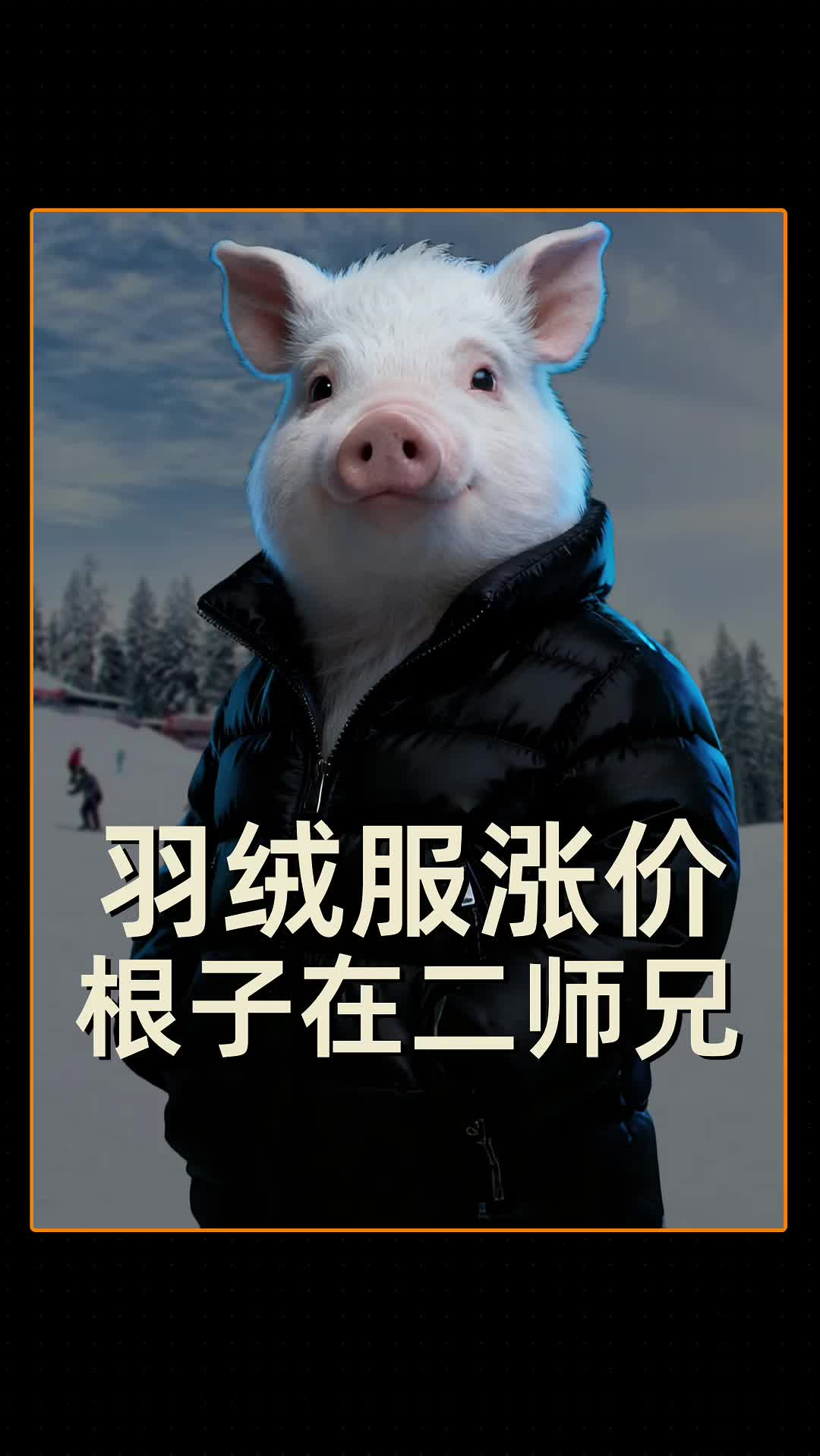 羽绒服涨价，根子在二师兄