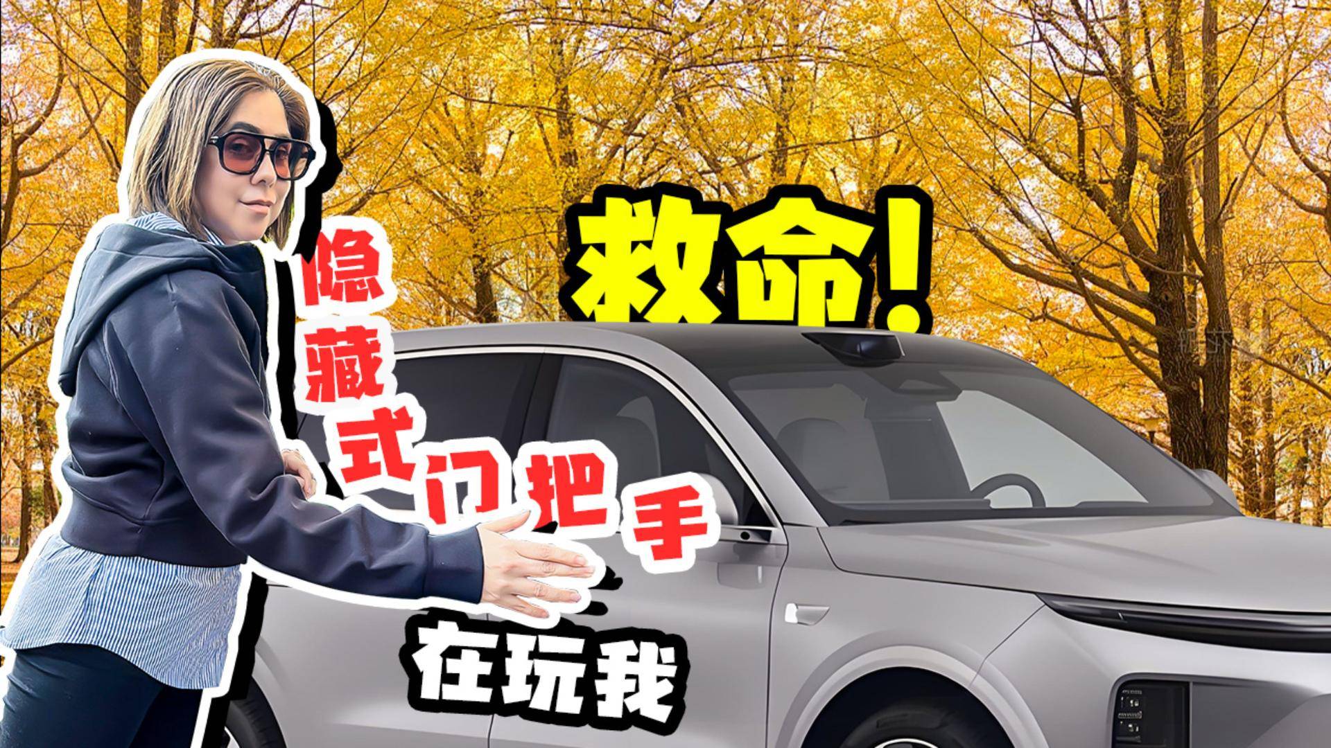 救命，隐藏式门把手在玩我