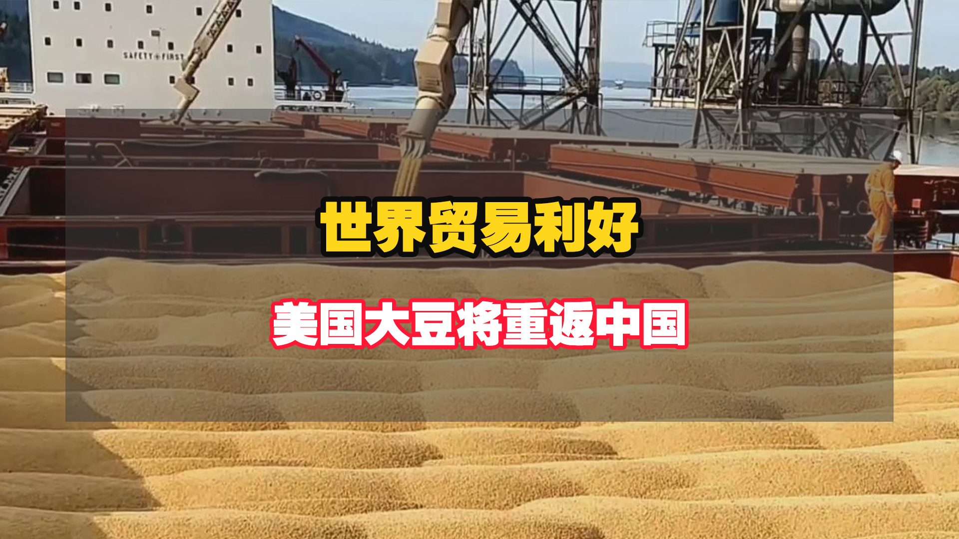 世界贸易加速，计划在12月中旬前装载美豆运往中国！