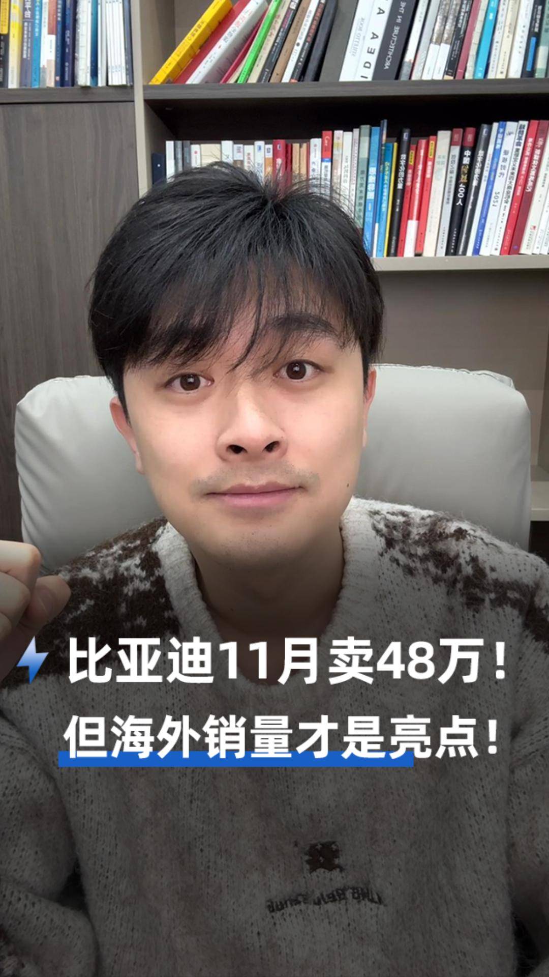 比亚迪11月卖48万!但海外销量才是亮点!