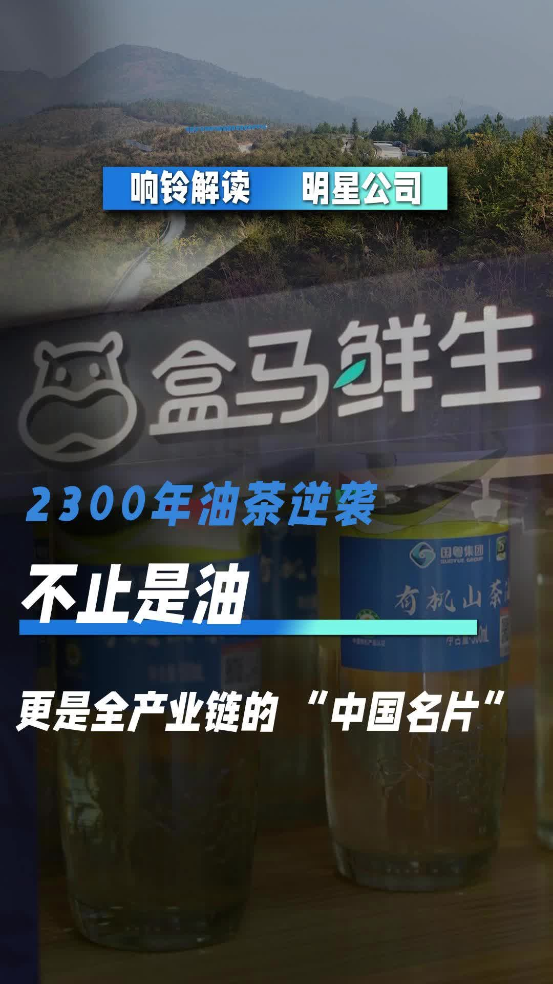 2300年油茶逆襲 不止是油更是全產(chǎn)業(yè)鏈的“中國(guó)名片”