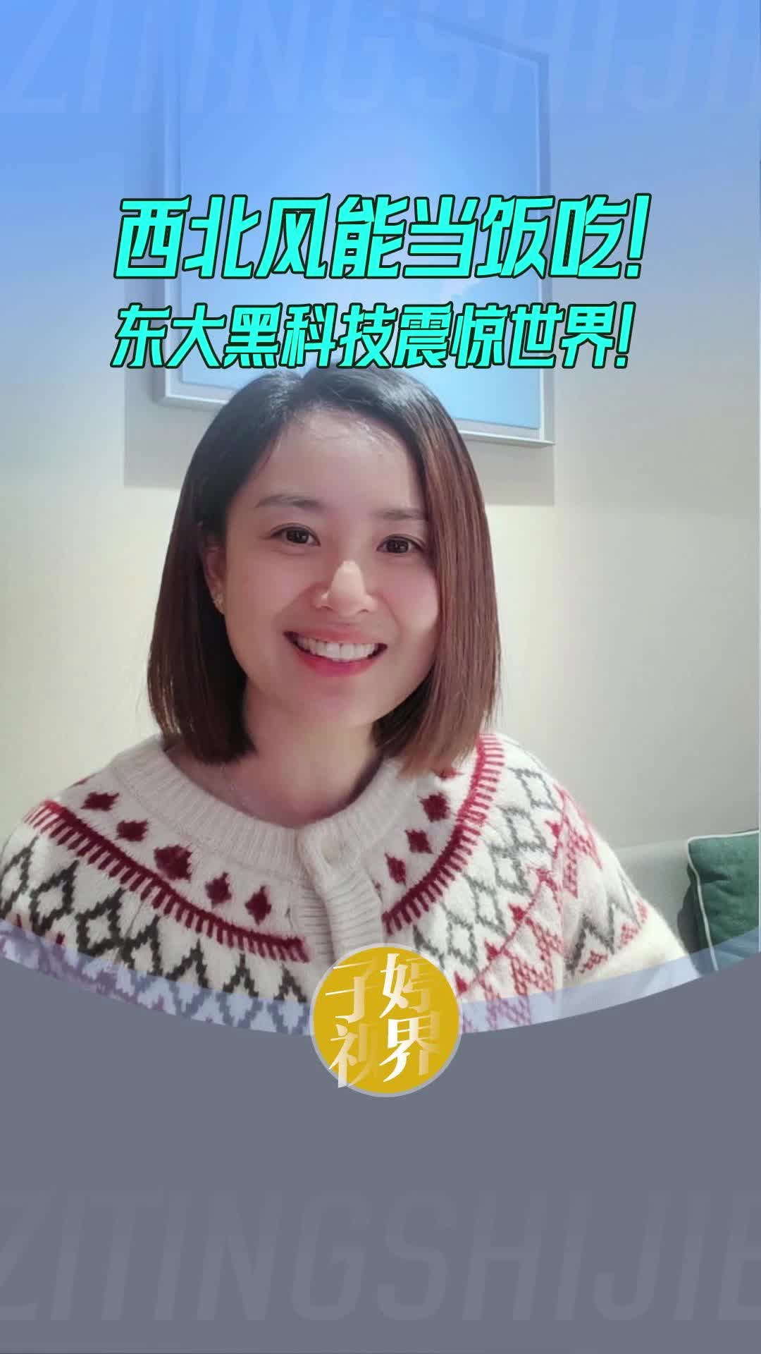 西北風(fēng)能當(dāng)飯吃！東大黑科技震驚世界！