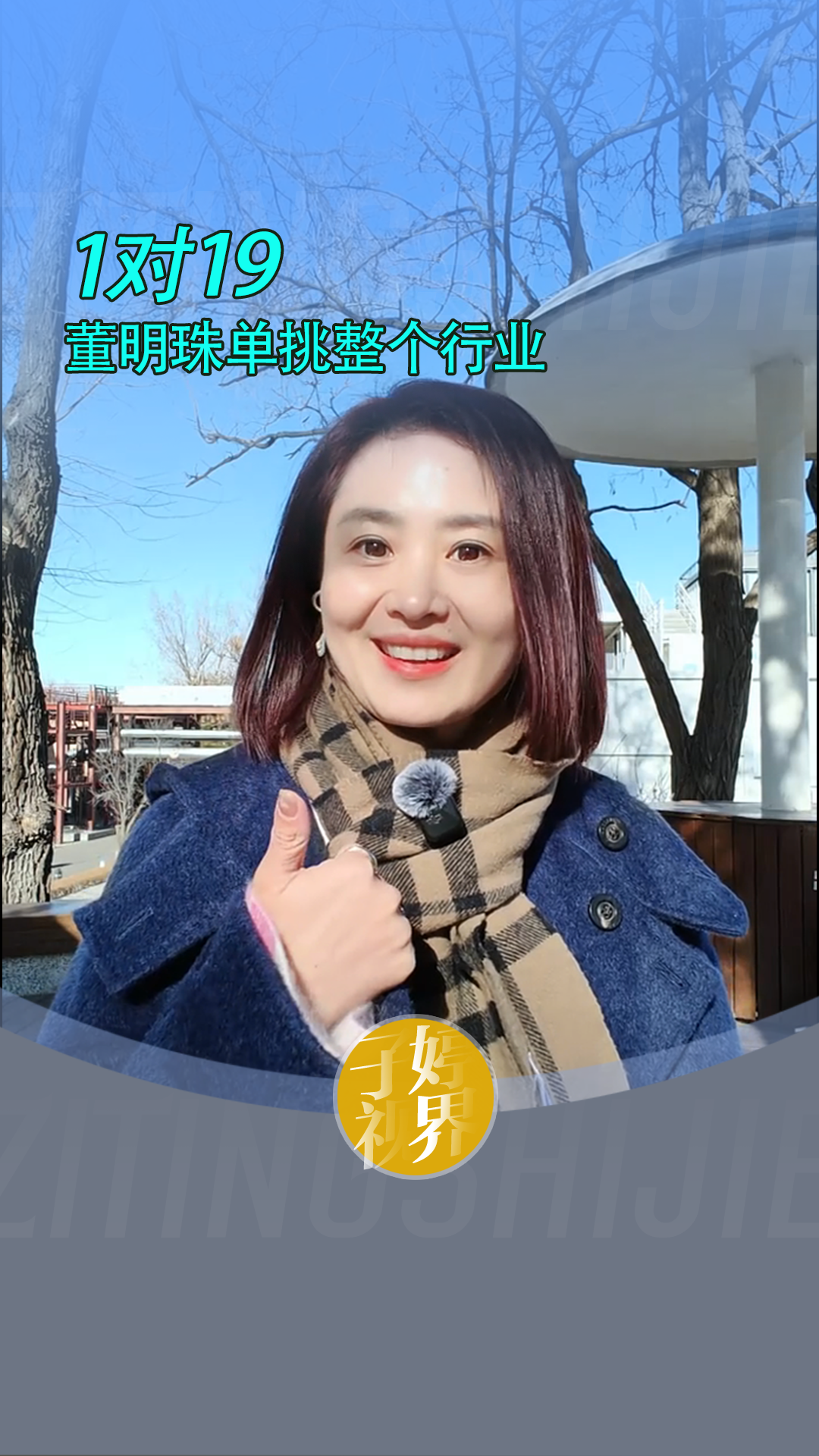 1对19 董明珠单挑整个行业