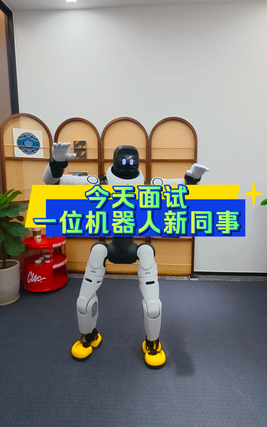 面试一位机器人新同事，你猜它能成功入职吗？